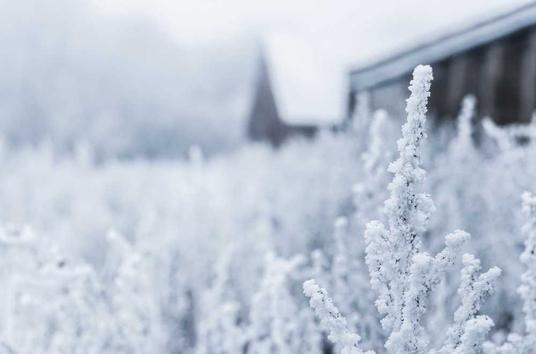 Snowy landscape with ice